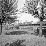 151007 Afbeelding van een electrische locomotief uit de serie 1100 van de N.S. met een goederentrein in een landschap ...